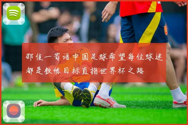 邵佳一寄语中国足球希望每位球迷都是教练目标直指世界杯之路