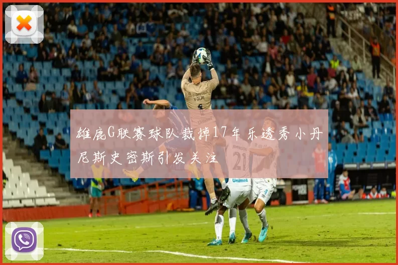 雄鹿G联赛球队裁掉17年乐透秀小丹尼斯史密斯引发关注