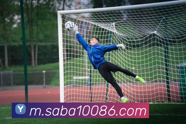 App Interface Preview